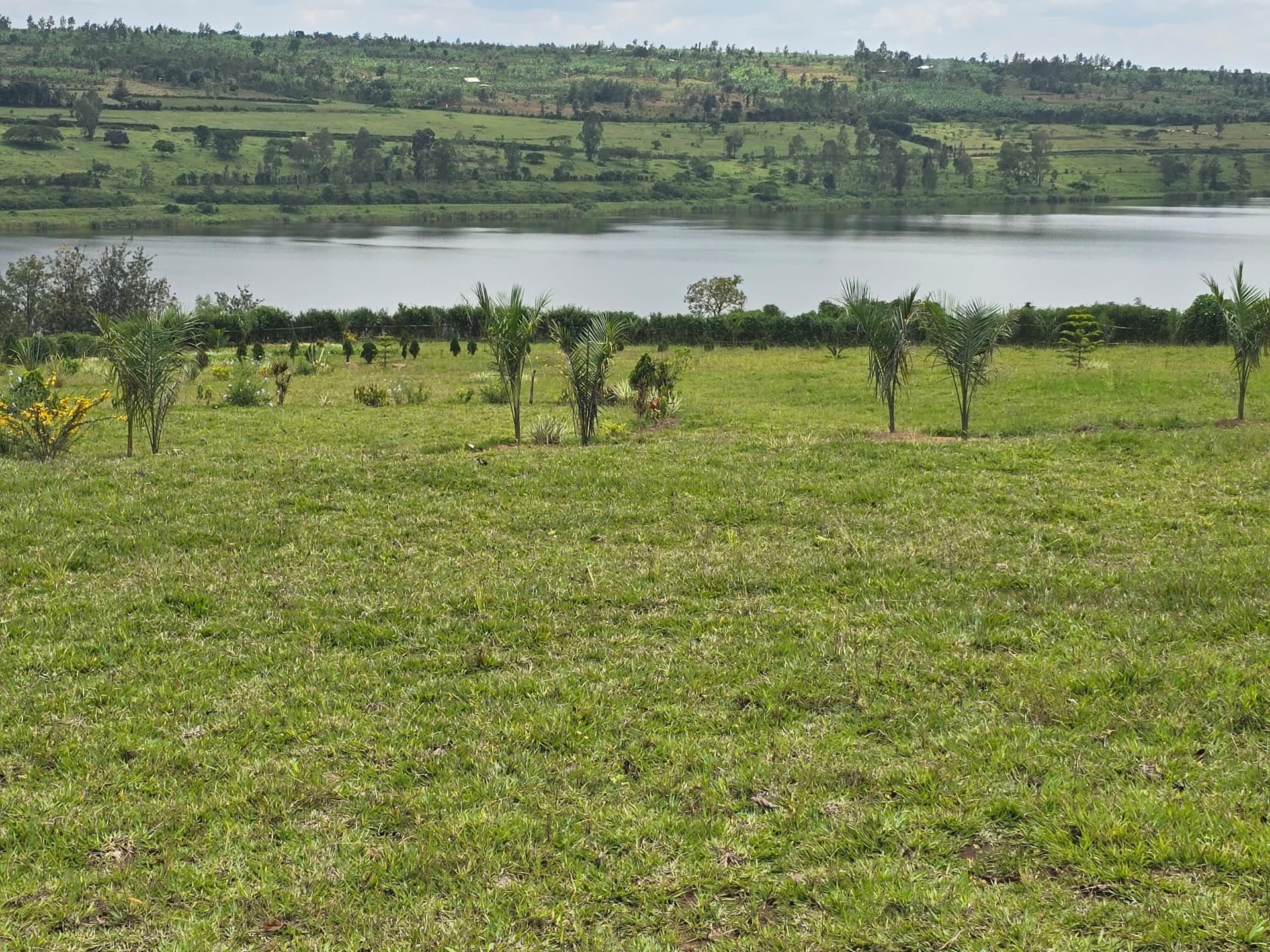 LAND FOR SALE IN MUHAZI