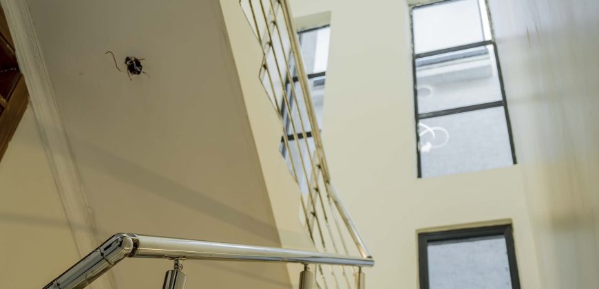 The Serene Pavilion Executive Masterpiece in Kibagabaga